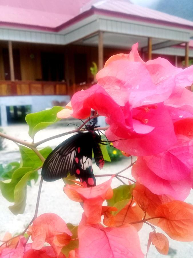 Nusa Nalan Beach Resort Rumah Olat Exteriör bild